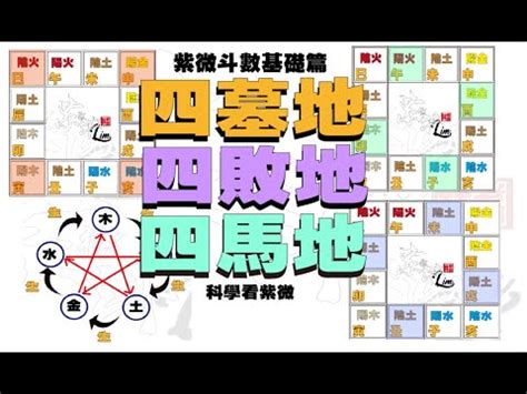 四庫地|八字四墓庫：財運解碼